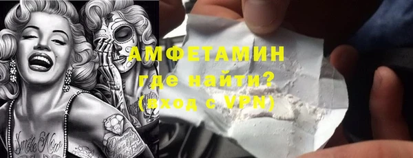 шишки Арсеньев