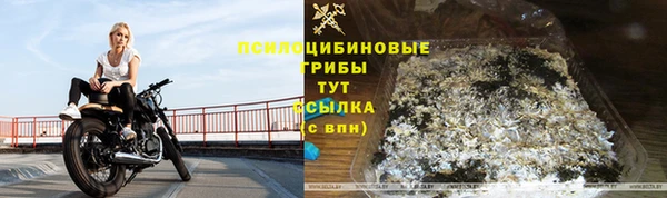шишки Арсеньев