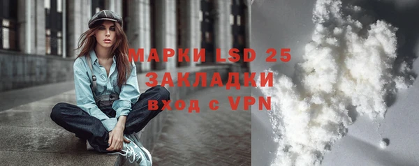 шишки Арсеньев