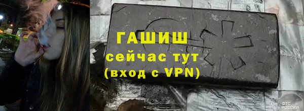 шишки Арсеньев