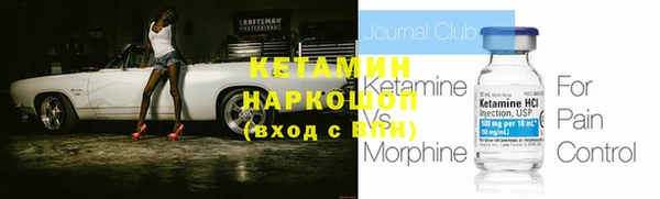 шишки Арсеньев