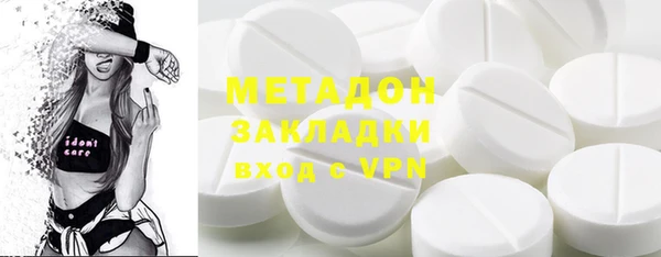 шишки Арсеньев