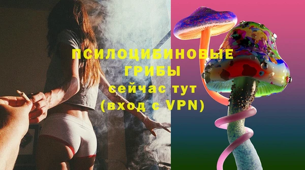 ECSTASY Алзамай