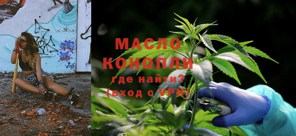 шишки Арсеньев