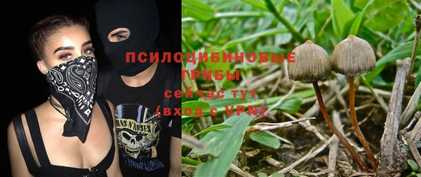 mix Армянск