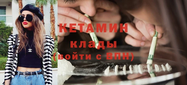 шишки Арсеньев